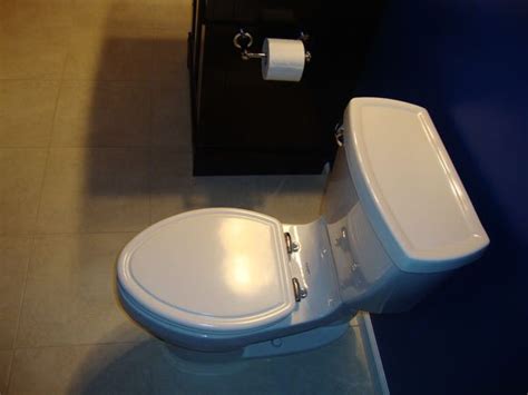 Video Review Of American Standard Champion 4 Toilet