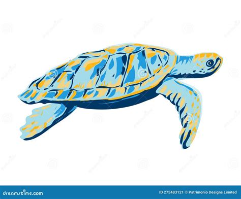 Sea Turtle Loggerhead Cartoon Vector Illustration