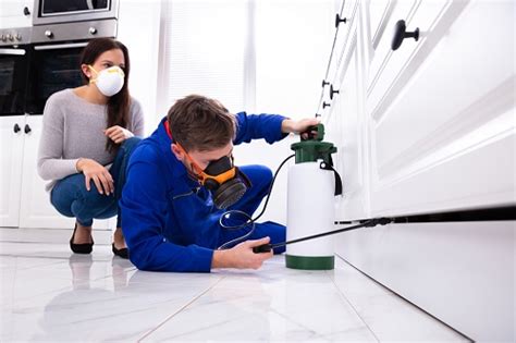 Serving the myrtle beach area. Pest Inspection Before Selling A Home | Zap Pest Control