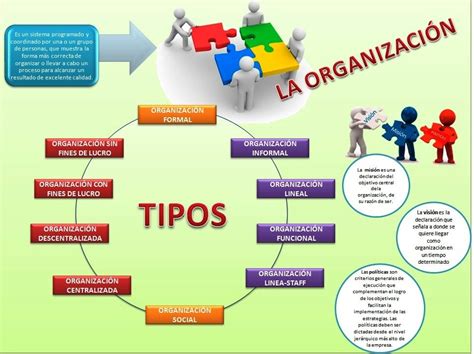 Tipologia De La Organizacion Lingsma