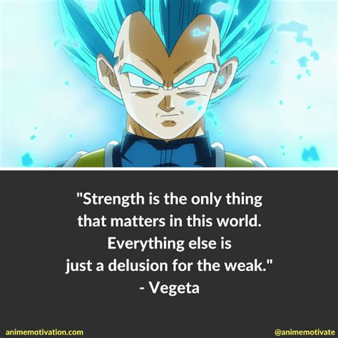 I'm the founder of anime motivation. Vegeta's quotes for life, the pride of All Saiyans | Anime ...