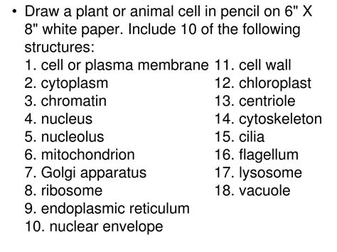 It could be difficult to understand animal cell structure and function with its lots of different organelles. PPT - CELL ANALOGIES COLLAGE PowerPoint Presentation, free ...