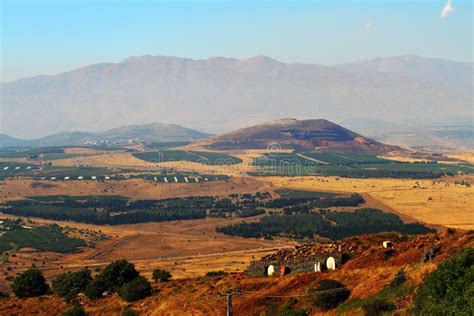 Mount Hermon Stock Image Image Of Horizontal Forest 32339989