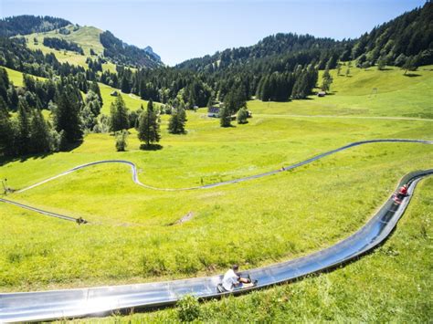Mountain Coasters Of Lifetime In Switzerland Jomventures Muslim Travel