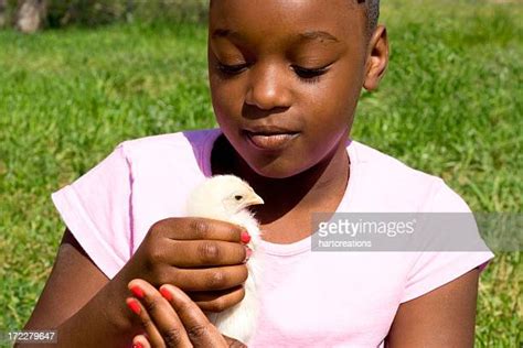 Cute Black Chicks Fotografías E Imágenes De Stock Getty Images