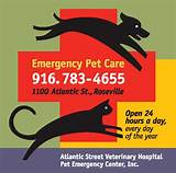 Emergency Veterinary Hospital Images