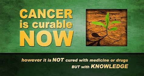 The Cancer Industry Exposed Ways To Prevent And Cure Cancer