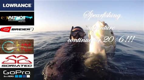 100 Shooting Amberjack Spearfishing Pêche Sous Marine Sériole Youtube