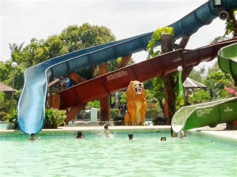 Bulacan Resorts Public And Private Swimming Pools 4k Garden Resort