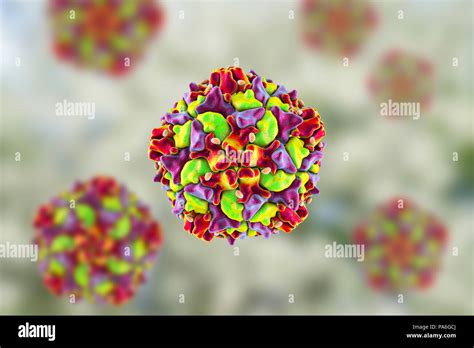 Partículas Del Virus De La Poliomielitis Equipo De Ilustración Las