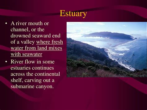 Ppt Seafloor Features Powerpoint Presentation Free Download Id1485506