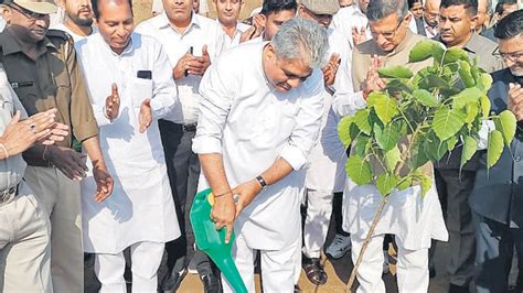 Afforestation Project Green Wall Launched To Revive The Aravallis