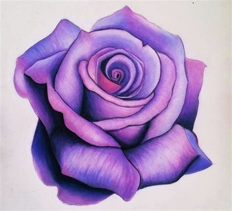 1001 Modèles Et Conseils Pour Apprendre Comment Dessiner Une Rose Roses Drawing Flower