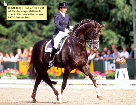 The facility is easily reached being approximately 10 miles equidistant from both perth and dundee, a quarter of a mile from the main a90 road. Breeding Dressage Horses - A Global Perspective | The ...