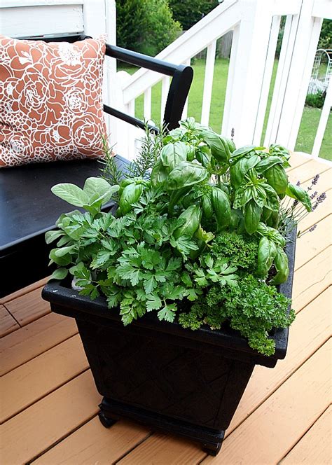Container garden design is raising plants, vegetables, edible herbs or flowers above the ground or balcony floor in compact containers and pots. Tips For Planting A Container Herb Garden