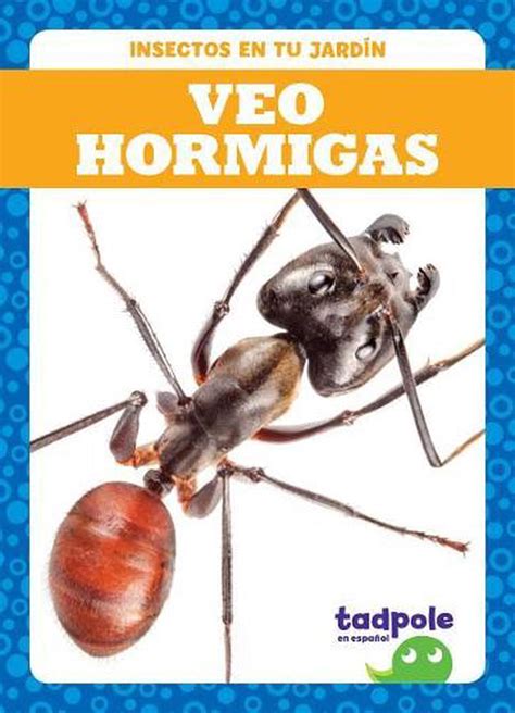 Veo Hormigas I See Ants By Genevieve Nilsen Spanish Hardcover Book