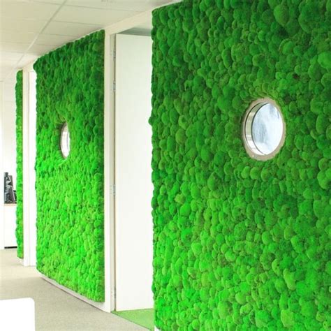 Green Wall And Moss Wall At Best Price In Bengaluru By Gaea Engineers