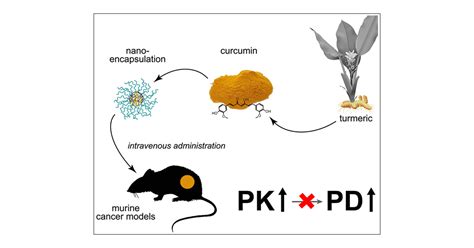 Utility Of Intravenous Curcumin Nanodelivery Systems For Improving In