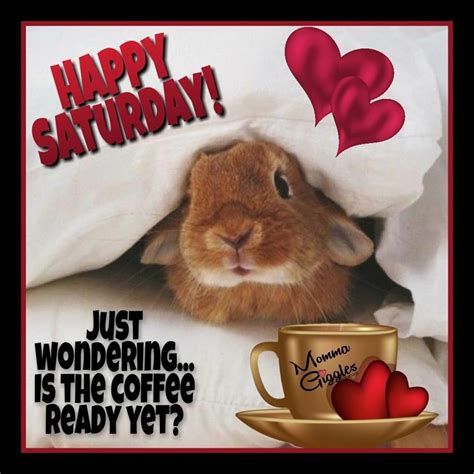 Just Wonderingis The Coffee Ready Yet Happy Saturday Pictures