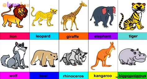 They named the people that built them anasazi (or ancient ones in navajo) and when the spanish both names are still used today. Wild Animals Pictures For Kids | Amazing Wallpapers
