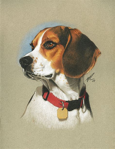 Dog Art For Sale Fine Art America