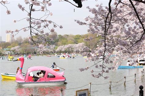 Ueno Park