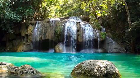 Waterfall And Jungle Sounds 3 Relaxing Tropical Rainforest