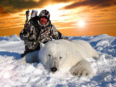 Rare Polar Bear Bow Hunt Hunting