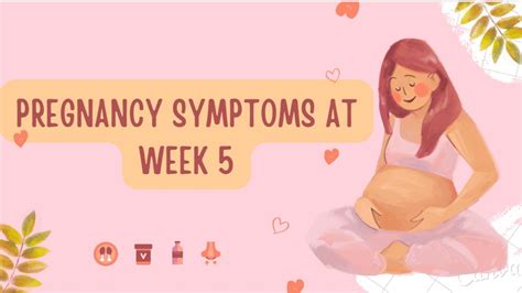 Pregnancy Symptoms At Week 5 Baby Development And Your First Ob