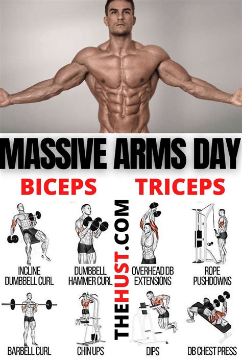 Complete Arms Workout Plan Biceps Workout Tricep Workout Gym Big
