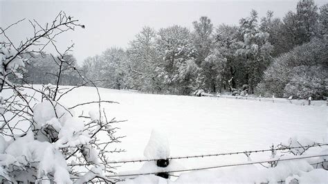 Download Wallpaper 1600x900 Snow Winter Park Fence Trees