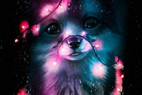 Dog Galaxy Wallpapers Top Free Dog Galaxy Backgrounds Wallpaperaccess