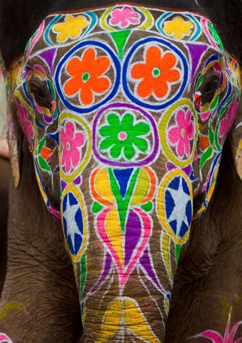 400 Yr Old Palace In Jaipur Elephant Painting Indian Elephant