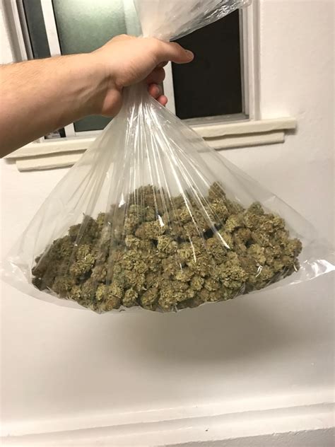It Feels Good To Have A Big Bag Of Weed Trees