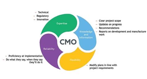 What Is The Role Of A Chief Marketing Officer By Praveen Palkhade