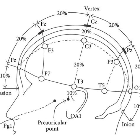 The 1020 Eeg Electrodes Placement System A And B Download