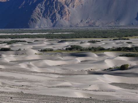 Desert In Nubra Ladakh India Travel Forum