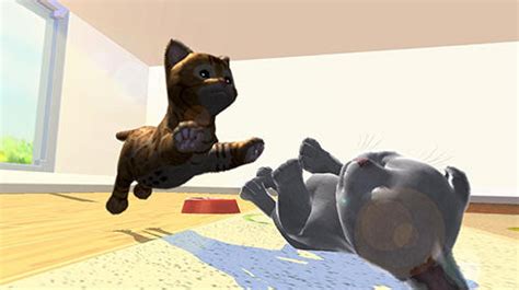 Daily Kitten Virtual Cat Pet Download Apk For Android Free