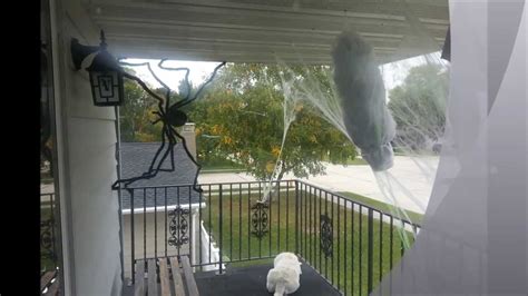 Shop by halloween theme—such as skeletons. Spooky Man caught in Spider Web, Cheap Halloween Decoration DIY - YouTube