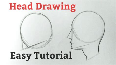 How To Draw Heads For Beginners Human Head Drawing Side View Easy