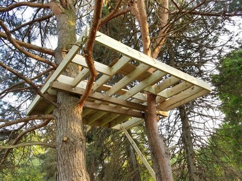 Check spelling or type a new query. Diy Treehouse Platform Support Frame 10' x 10' | Tree ...