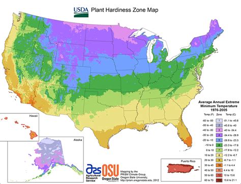 Rose Growing And Care Usda Rose Hardiness Zone Map Heirloom Roses