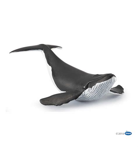 Humpback Whale Calf Figure A2z Science And Learning Toy Store
