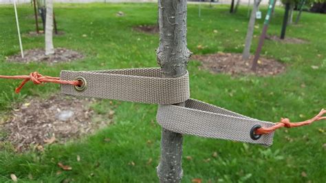 Tree Straightening Kit Stake With Strap Strong Rope And Stakes 3