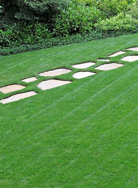 Maybe you would like to learn more about one of these? Overseeding: A Key to Beautiful Lawns