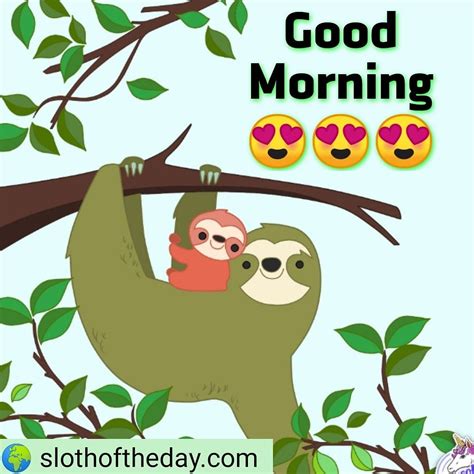 Sloth Of The Day Lets Talk About Sloths Sloth Of The Day In 2020