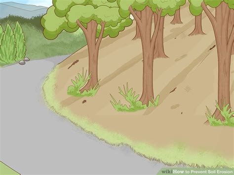 How To Prevent Soil Erosion Steps With Pictures Wikihow