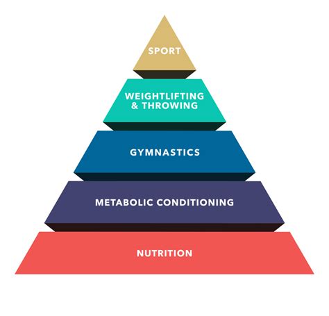 The Theoretical Hierarchy Of The Development Of An Athlete