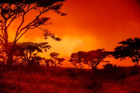 Red African Sunset Stock De Foto Gratis Public Domain Pictures