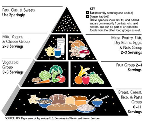 I was all set to contest that the new (old) food pyramid, adopted in 2005, was garbage mathematically and visually. Nutrition Plate Unveiled to Replace the Food Pyramid - The ...